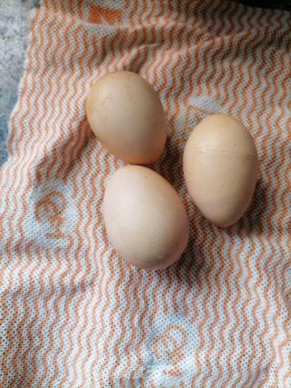 鸡蛋肉饼汤的做法步骤：1