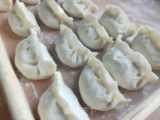 黄瓜鸡蛋水饺的做法步骤：13
