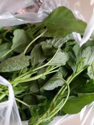 酱牛肉拌野苋菜的做法步骤：1