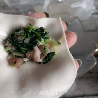 野苋菜肉馄饨的做法步骤：11