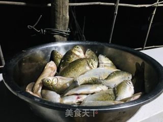 鲫鱼冬瓜汤的做法步骤：1