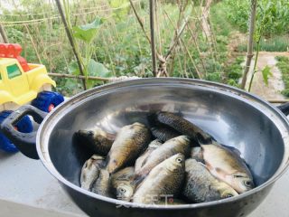 鲫鱼豆腐汤的做法步骤：1