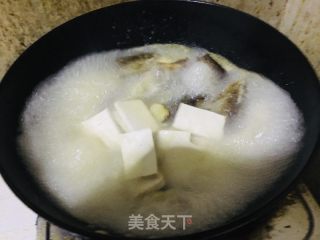 鲫鱼豆腐汤的做法步骤：6