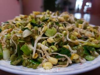 香葱炒绿豆芽的做法步骤：6