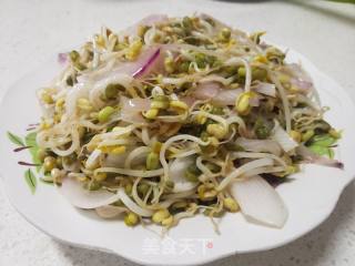 绿豆芽炒洋葱的做法步骤：4