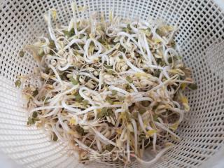 绿豆芽炒黑木耳的做法步骤：2