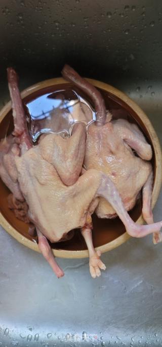 砂锅焗鸽子的做法步骤：1