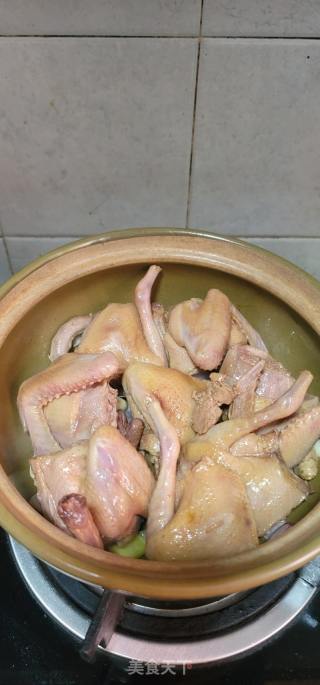 砂锅焗鸽子的做法步骤：7