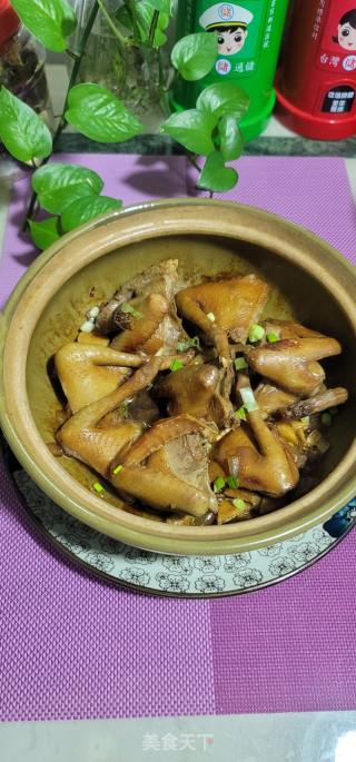 砂锅焗鸽子的做法步骤：11