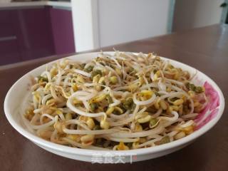 清炒绿豆芽的做法步骤：4