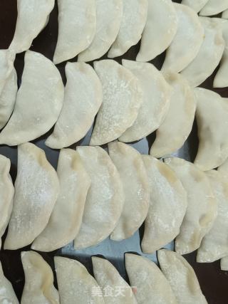 黄牛肝菌猪肉饺子的做法步骤：5