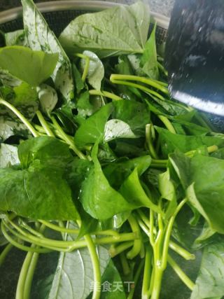 清炒红薯叶子的做法步骤：3