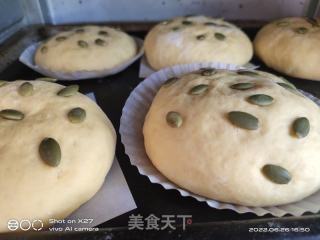 南瓜蛋黄瓜子面包的做法步骤：11
