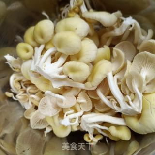 榆黄蘑炒蛋的做法步骤：1