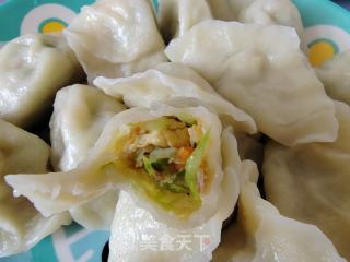 黄瓜鸡蛋胡萝卜饺子的做法步骤：13