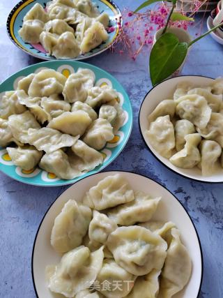 黄瓜鸡蛋胡萝卜饺子的做法步骤：14