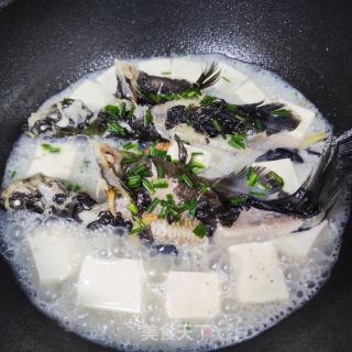 豆腐烧昂剌鱼的做法步骤：5