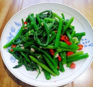 素炒南瓜苗的做法步骤：9