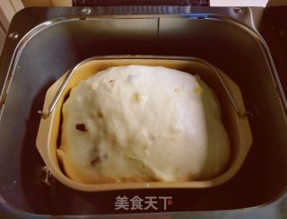 果干酸奶小面包的做法步骤：6