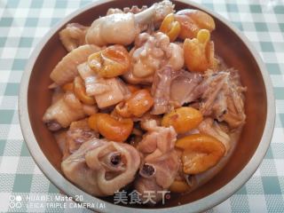 黄皮焖鸡的做法