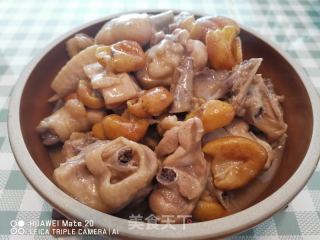 黄皮焖鸡的做法步骤：12