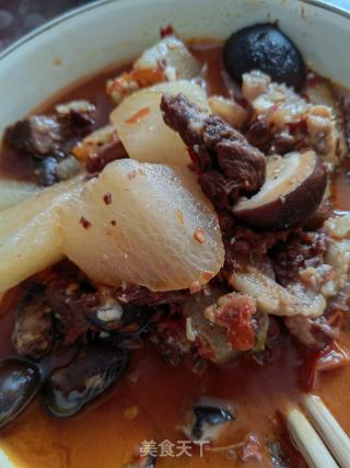 砂锅萝卜烧牛肉的做法