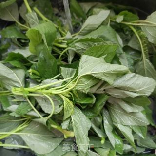 木耳肉末苋菜包的做法步骤：5