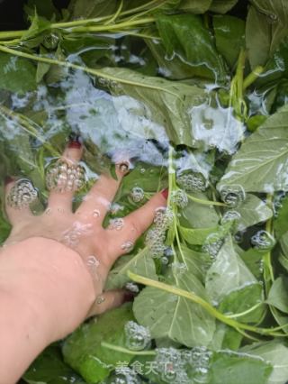 木耳肉末苋菜包的做法步骤：6