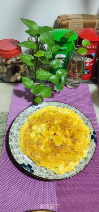 鲜花菜脯煎蛋的做法步骤：10