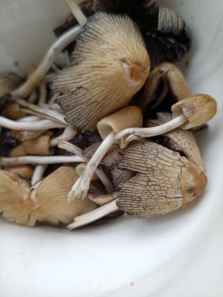 柳树菇鸽子汤的做法步骤：2