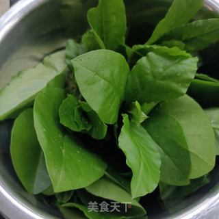 金针菇参苗拌鸽胸肉的做法步骤：8