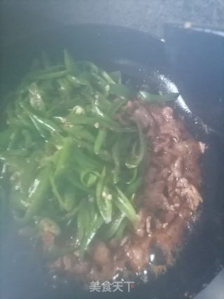 辣椒炒羊肉的做法步骤：5