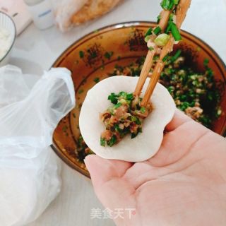 韭菜猪肉水饺的做法步骤：6