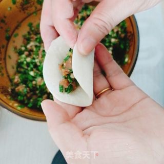 韭菜猪肉水饺的做法步骤：7