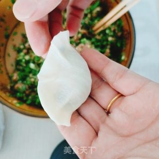 韭菜猪肉水饺的做法步骤：9