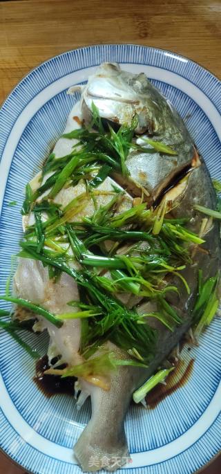 姜葱蒸鲳鱼的做法步骤：8