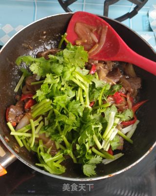 洋葱炒牛肉的做法步骤：12