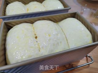 波兰种低糖原味吐司的做法步骤：14