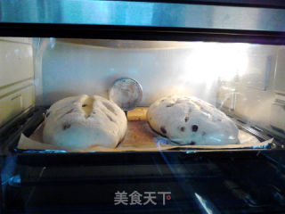蔓越莓裸麦软欧包的做法步骤：13