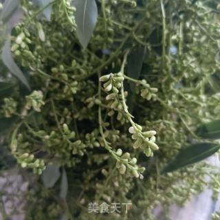 炒槐米茶的做法步骤：1