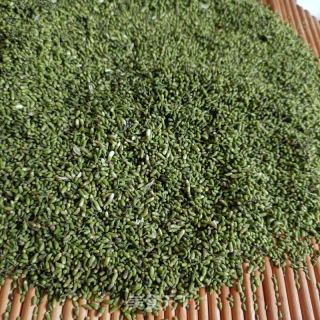 炒槐米茶的做法步骤：7