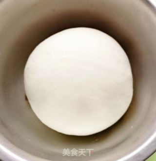 马齿笕猪肉包的做法步骤：4