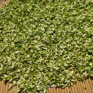 红糖槐花茶的做法步骤：4
