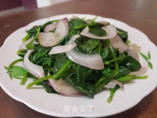 洋葱炒明月草的做法步骤：5