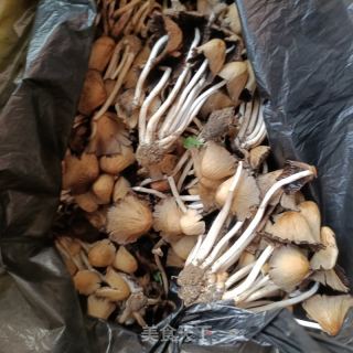 柳树菇蛋汤的做法步骤：1