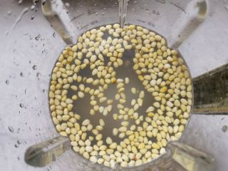松子糯米豆浆的做法步骤：6