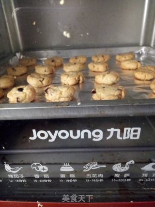 蔓越莓饼干的做法步骤：10