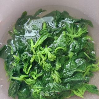 蒜泥苋菜的做法步骤：4