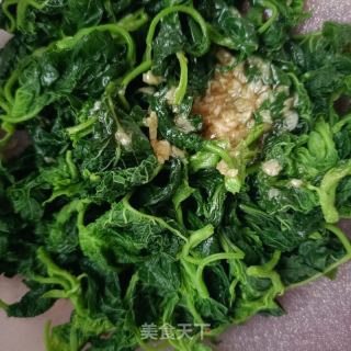 蒜泥苋菜的做法步骤：9