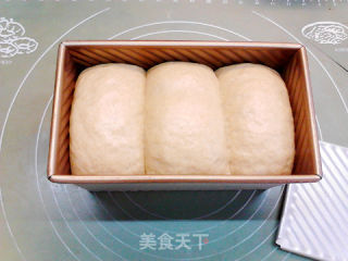 波兰酵种30%裸麦土司的做法步骤：15